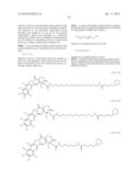 NANOSPHERES COMPRISING TOCOPHEROL, AN AMPHIPHILIC SPACER AND A THERAPEUTIC     OR IMAGING AGENT diagram and image