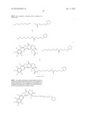 NANOSPHERES COMPRISING TOCOPHEROL, AN AMPHIPHILIC SPACER AND A THERAPEUTIC     OR IMAGING AGENT diagram and image