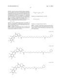 NANOSPHERES COMPRISING TOCOPHEROL, AN AMPHIPHILIC SPACER AND A THERAPEUTIC     OR IMAGING AGENT diagram and image