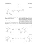 NANOSPHERES COMPRISING TOCOPHEROL, AN AMPHIPHILIC SPACER AND A THERAPEUTIC     OR IMAGING AGENT diagram and image