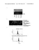 NANOPARTICLES CARING NUCLEIC ACID CASSETTES FOR EXPRESSING RNA diagram and image