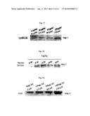 METHOD FOR TREATING VASCULAR-RELATED DISEASE diagram and image