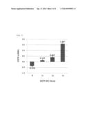 METHOD FOR SELECTING CHEMOTHERAPY FOR GASTRIC CANCER PATIENT USING     COMBINATION DRUG OF TEGAFUR, GIMERACIL AND OTERACIL POTASSIUM AND EGFR     INHIBITOR diagram and image