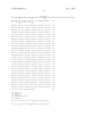 METHOD FOR SELECTING CHEMOTHERAPY FOR GASTRIC CANCER PATIENT USING     COMBINATION DRUG OF TEGAFUR, GIMERACIL AND OTERACIL POTASSIUM AND EGFR     INHIBITOR diagram and image