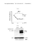 USE OF LRIG1 AS A BIOMARKER FOR IDENTIFYING A SUBJECT FOR APPLICATION OF     ANTI-C-MET ANTIBODIES diagram and image