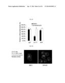 USE OF LRIG1 AS A BIOMARKER FOR IDENTIFYING A SUBJECT FOR APPLICATION OF     ANTI-C-MET ANTIBODIES diagram and image