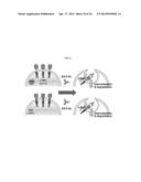 USE OF LRIG1 AS A BIOMARKER FOR IDENTIFYING A SUBJECT FOR APPLICATION OF     ANTI-C-MET ANTIBODIES diagram and image