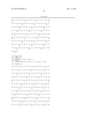 USE OF LRIG1 AS A BIOMARKER FOR IDENTIFYING A SUBJECT FOR APPLICATION OF     ANTI-C-MET ANTIBODIES diagram and image