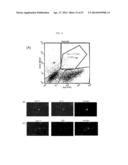 METHODS FOR TREATING PROSTATE CANCER diagram and image