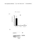 METHODS FOR TREATING PROSTATE CANCER diagram and image