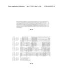 VISTA MODULATORS FOR DIAGNOSIS AND TREATMENT OF CANCER diagram and image