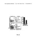 VISTA MODULATORS FOR DIAGNOSIS AND TREATMENT OF CANCER diagram and image