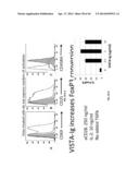 VISTA MODULATORS FOR DIAGNOSIS AND TREATMENT OF CANCER diagram and image