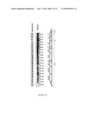 HEPATITIS C VIRUS PARTICLES, VACCINES, COMPOSITIONS AND METHODS RELATED     THERETO diagram and image