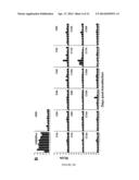 HEPATITIS C VIRUS PARTICLES, VACCINES, COMPOSITIONS AND METHODS RELATED     THERETO diagram and image