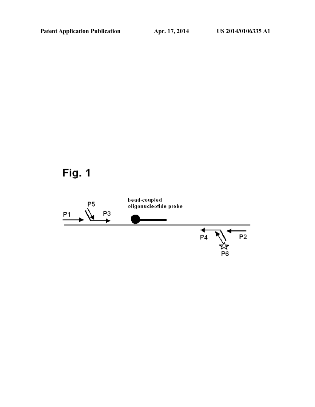 OLIGONUCLEOTIDE PROBE FOR THE DETECTION OF ADENOVIRUS - diagram, schematic, and image 02