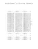 METHODS, NUCLEIC ACIDS, AND KITS FOR DETECTION OF PARVOVIRUS B19 diagram and image