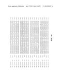 METHODS, NUCLEIC ACIDS, AND KITS FOR DETECTION OF PARVOVIRUS B19 diagram and image