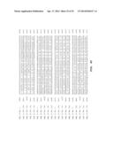 METHODS, NUCLEIC ACIDS, AND KITS FOR DETECTION OF PARVOVIRUS B19 diagram and image