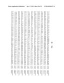 METHODS, NUCLEIC ACIDS, AND KITS FOR DETECTION OF PARVOVIRUS B19 diagram and image