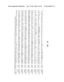 METHODS, NUCLEIC ACIDS, AND KITS FOR DETECTION OF PARVOVIRUS B19 diagram and image