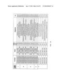 METHODS, NUCLEIC ACIDS, AND KITS FOR DETECTION OF PARVOVIRUS B19 diagram and image