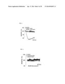 METHOD FOR CONTROLLING NAD(P)/NAD(P)H RATIO BY OXIDOREDUCTASE diagram and image