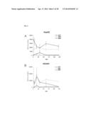 METHOD FOR CONTROLLING NAD(P)/NAD(P)H RATIO BY OXIDOREDUCTASE diagram and image