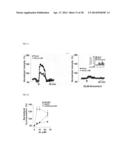 METHOD FOR CONTROLLING NAD(P)/NAD(P)H RATIO BY OXIDOREDUCTASE diagram and image