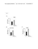 METHOD FOR CONTROLLING NAD(P)/NAD(P)H RATIO BY OXIDOREDUCTASE diagram and image