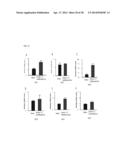 METHOD FOR CONTROLLING NAD(P)/NAD(P)H RATIO BY OXIDOREDUCTASE diagram and image