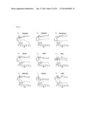 METHOD FOR CONTROLLING NAD(P)/NAD(P)H RATIO BY OXIDOREDUCTASE diagram and image