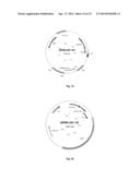 VECTOR-HOST SYSTEM diagram and image