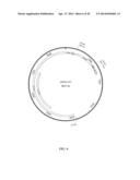 PROTEIN PRODUCTION IN MICROORGANISMS OF THE PHYLUM LABYRINTHULOMYCOTA diagram and image