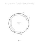 PROTEIN PRODUCTION IN MICROORGANISMS OF THE PHYLUM LABYRINTHULOMYCOTA diagram and image