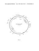 PROTEIN PRODUCTION IN MICROORGANISMS OF THE PHYLUM LABYRINTHULOMYCOTA diagram and image