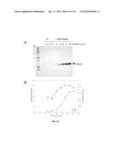 PROTEIN PRODUCTION IN MICROORGANISMS OF THE PHYLUM LABYRINTHULOMYCOTA diagram and image