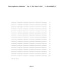 PROTEIN PRODUCTION IN MICROORGANISMS OF THE PHYLUM LABYRINTHULOMYCOTA diagram and image