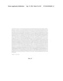 PROTEIN PRODUCTION IN MICROORGANISMS OF THE PHYLUM LABYRINTHULOMYCOTA diagram and image