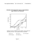 Enhanced Fermentation From Pretreatment Products diagram and image