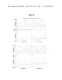 METHODS AND COMPOSITIONS FOR HIGH EFFICIENCY TRANSFECTION OF siRNA diagram and image