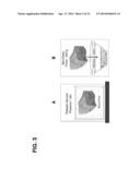 APOPLAST WASH FLUID RECOVERY FOR IMPROVED RECOMBINANT ENDOGLUCANASE     PRODUCTION IN TOBACCO LEAVES diagram and image