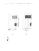 APOPLAST WASH FLUID RECOVERY FOR IMPROVED RECOMBINANT ENDOGLUCANASE     PRODUCTION IN TOBACCO LEAVES diagram and image