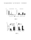 METHODS AND COMPOSITIONS FOR LONG TERM HEMATOPOIETIC REPOPULATION diagram and image