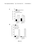 METHODS AND COMPOSITIONS FOR LONG TERM HEMATOPOIETIC REPOPULATION diagram and image