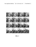 Intra-Culture Perfusion Methods and Applications Thereof diagram and image