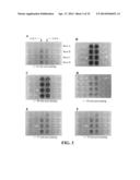 Intra-Culture Perfusion Methods and Applications Thereof diagram and image