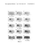 Intra-Culture Perfusion Methods and Applications Thereof diagram and image