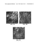 Intra-Culture Perfusion Methods and Applications Thereof diagram and image