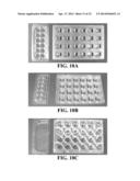 Intra-Culture Perfusion Methods and Applications Thereof diagram and image